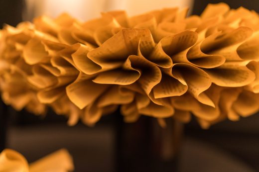 AFR 20260124_152457.jpg