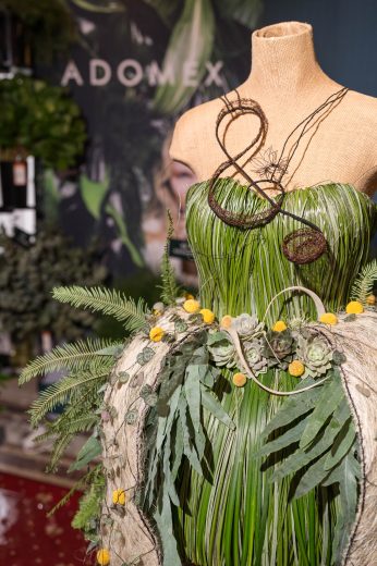 AFR 20260124_112934.jpg