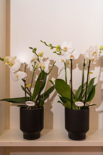 AFR 20260124_123059.jpg