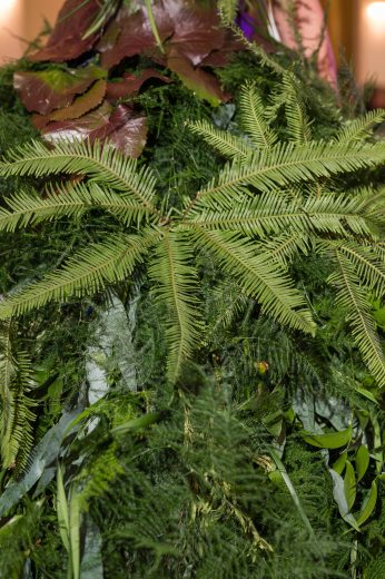 AFR 20260124_121335.jpg