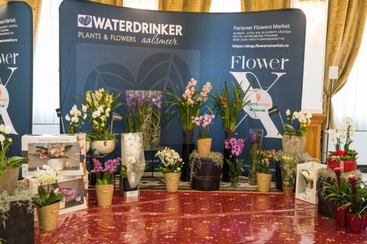 AFR 20260124_110848.jpg