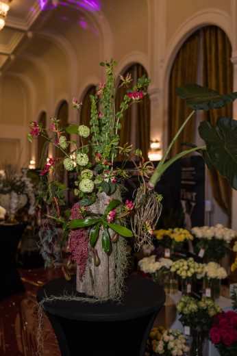 AFR 20260124_170425.jpg