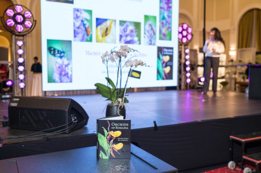 AFR 20260124_173004.jpg