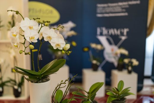 AFR 20260124_110832.jpg