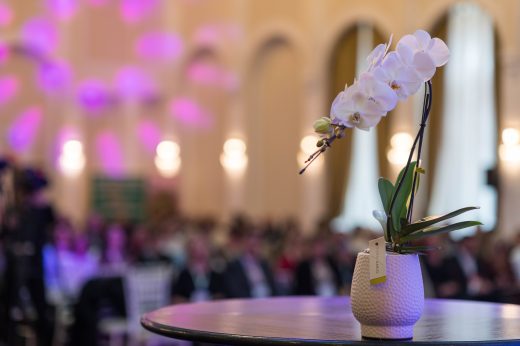 AFR 20260124_105004.jpg