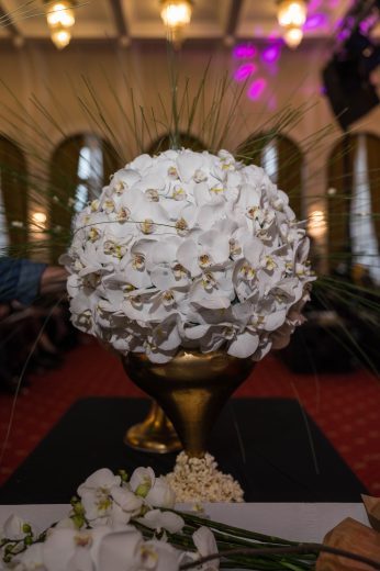 AFR 20260124_151952.jpg