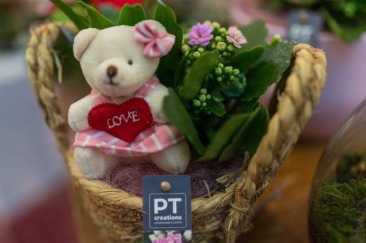 AFR 20260124_094413.jpg