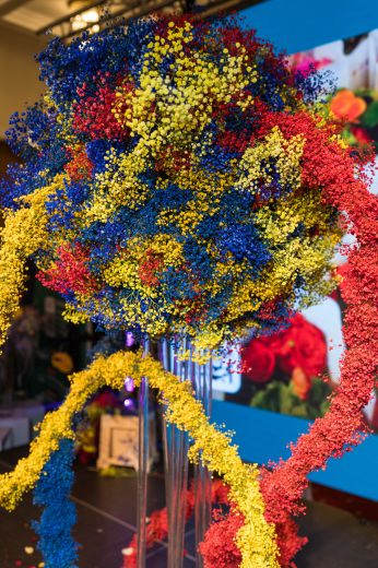 AFR 20260124_181740.jpg