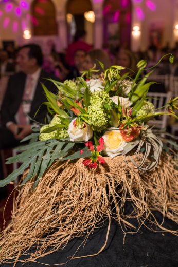 AFR 20260124_154904.jpg