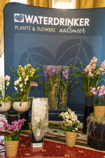 AFR 20260124_102219.jpg