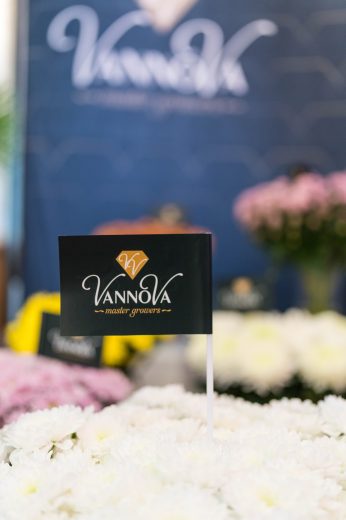 FlowersX – Growers Edition photo 4