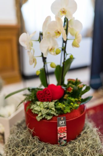 AFR 20260124_094627.jpg