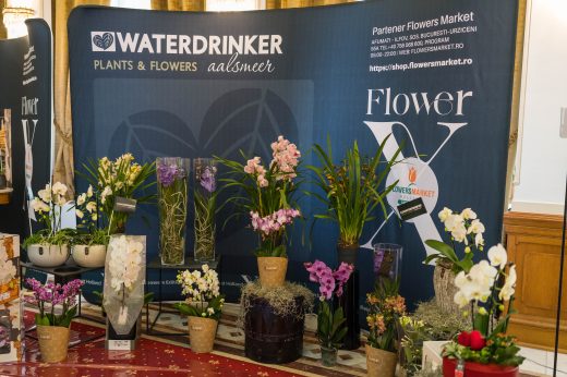 AFR 20260124_094634.jpg