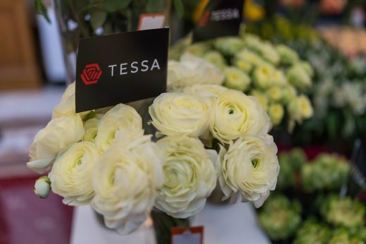 AFR 20260124_094713.jpg