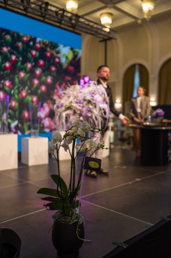 AFR 20260124_152756.jpg