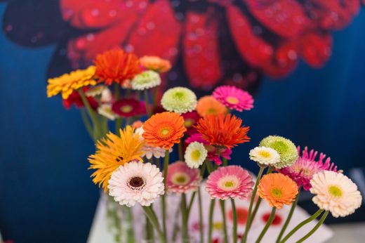 AFR 20260124_101653.jpg