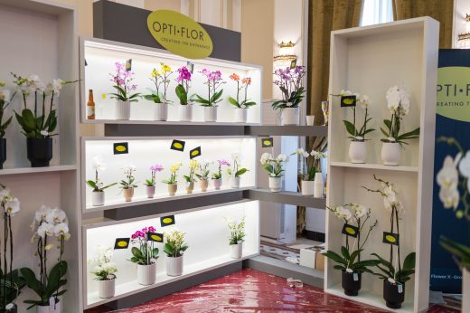 AFR 20260124_110825.jpg